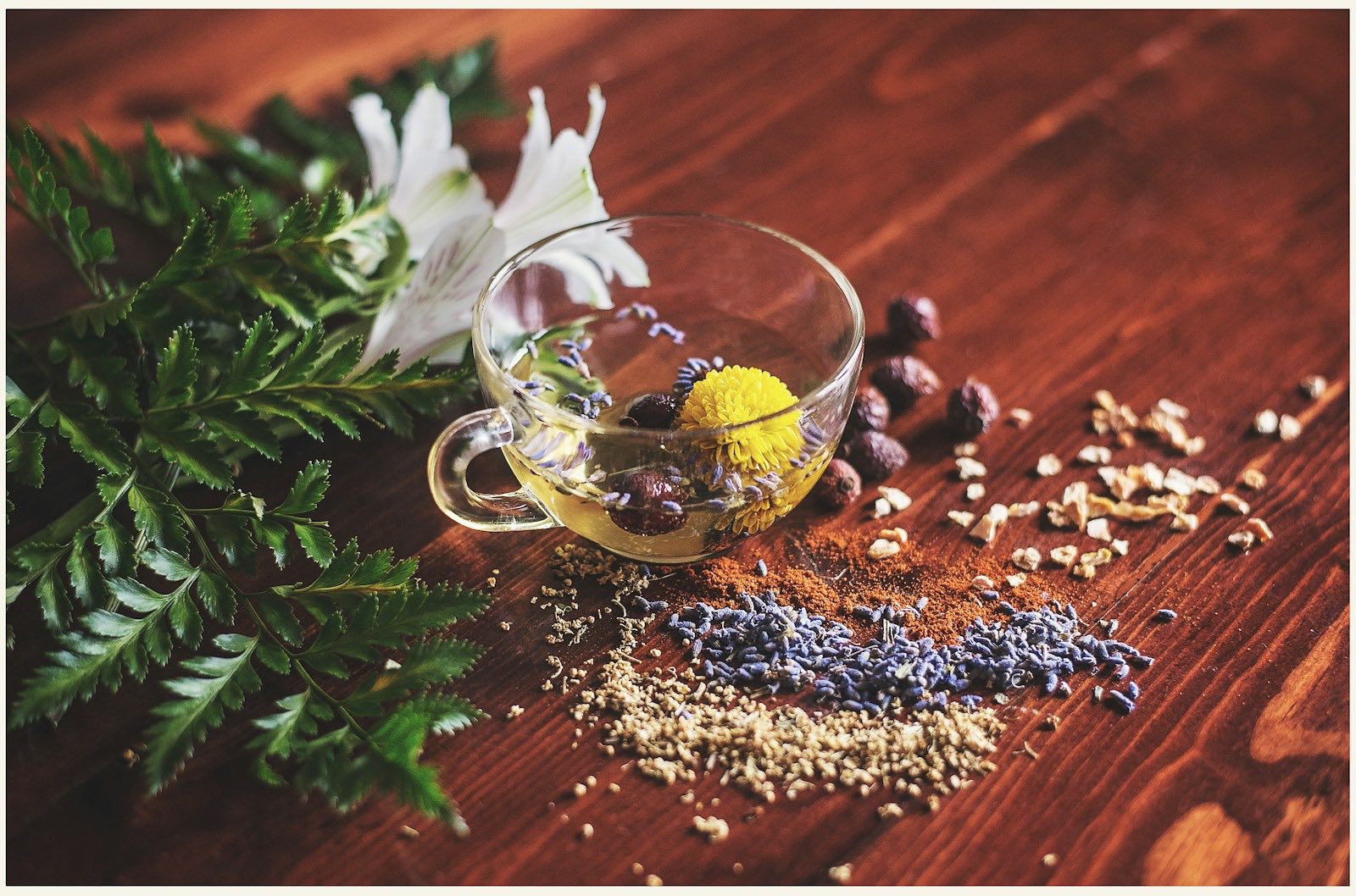 Tisane de plantes et remèdes naturels — fleurs, lavande, cynorrhodons et herbes séchées disposés sur un plan de bois chaud.
